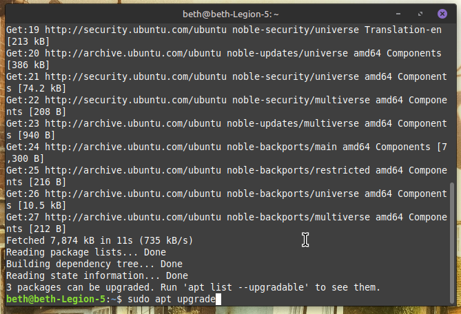 Terminal will scan for updates and tell you how many packages can be updated