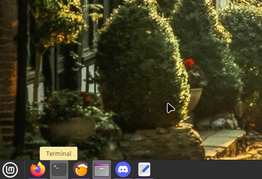 Open the Terminal here